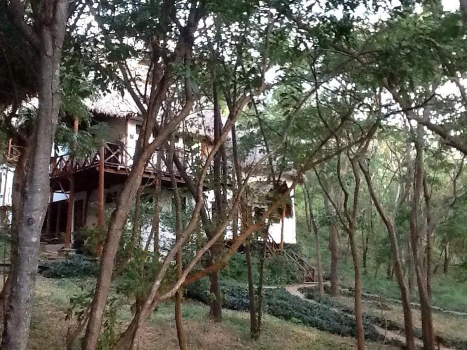 Tuani Ecolodge Tola Exterior photo